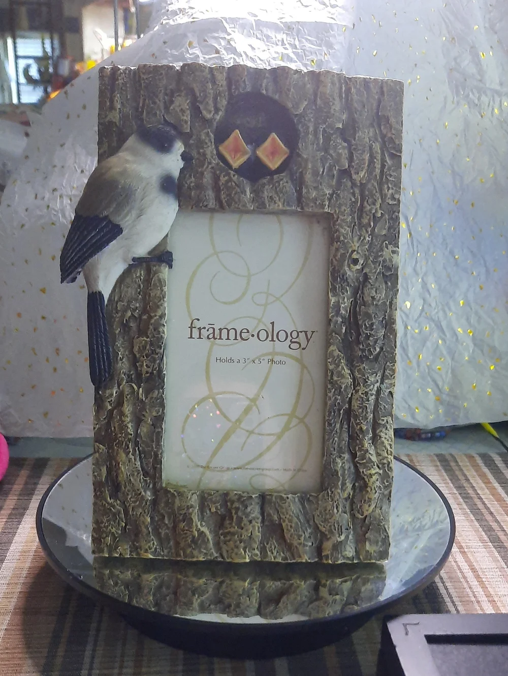 Rustic Bark Bird Photo Frame in Brown
